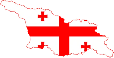 Study MBBS in Georgia - Wisera